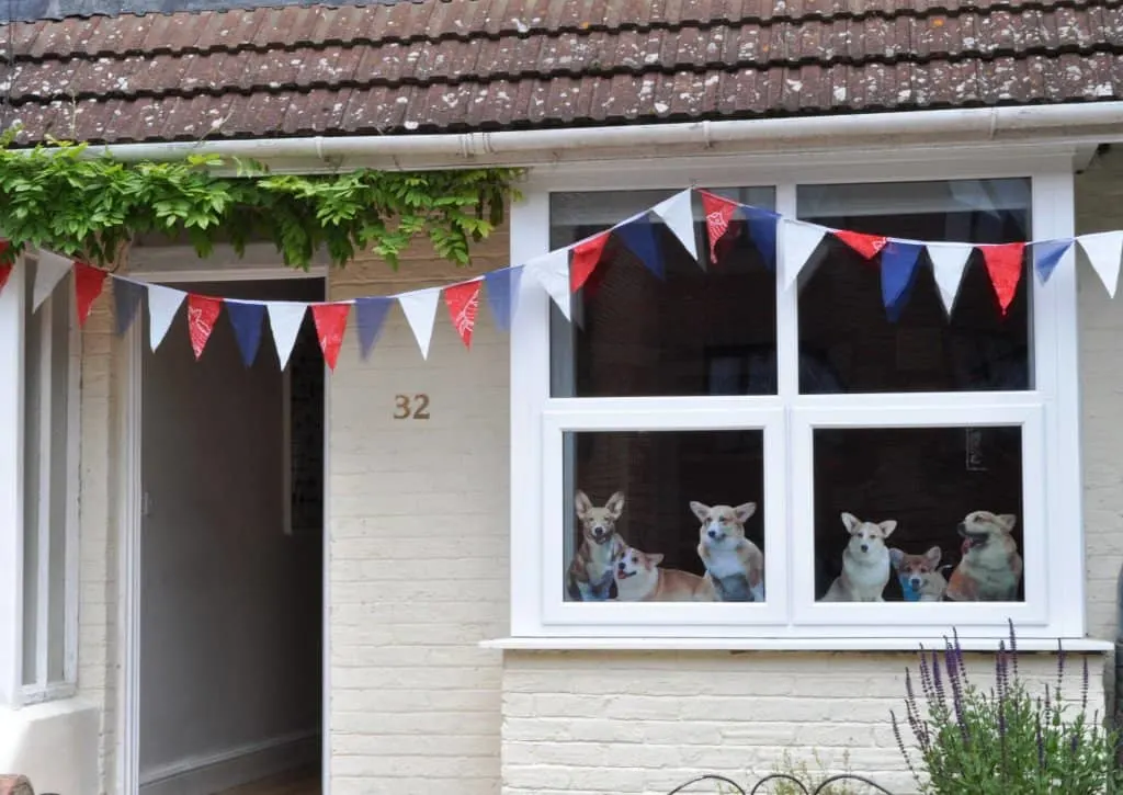 Jubilee Bunting 