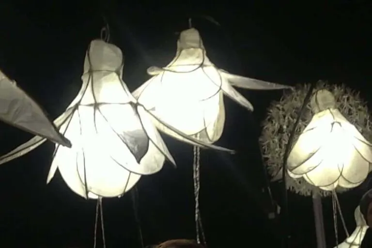 Burning of the Clocks Brighton