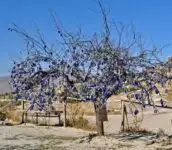 Turkish Talisman evil eye Tree