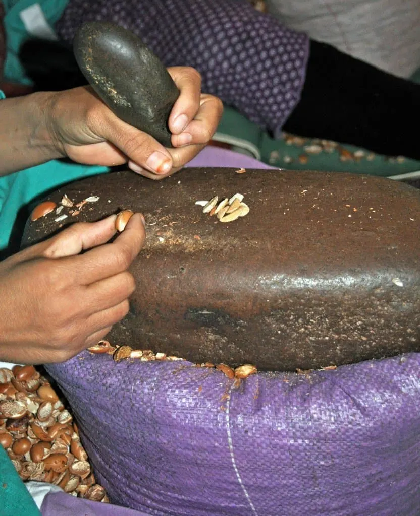 Cracking the Argan nuts