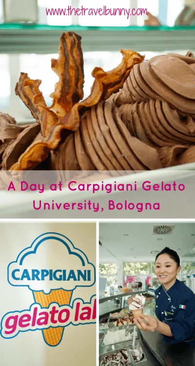 gelato-university-bologna