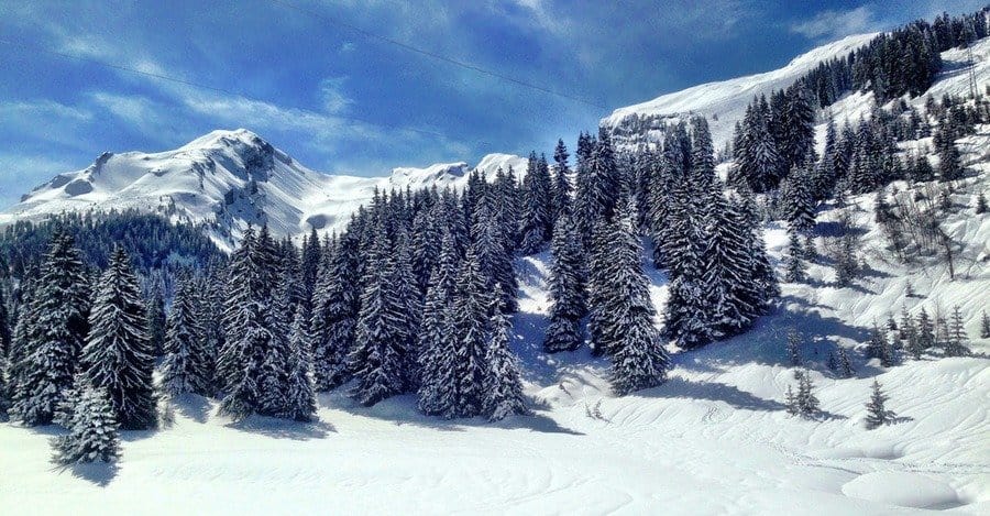 Alpine Views