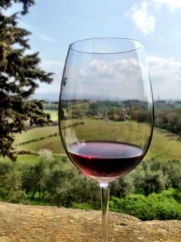 Wine Tasting in Chianti, Tuscany
