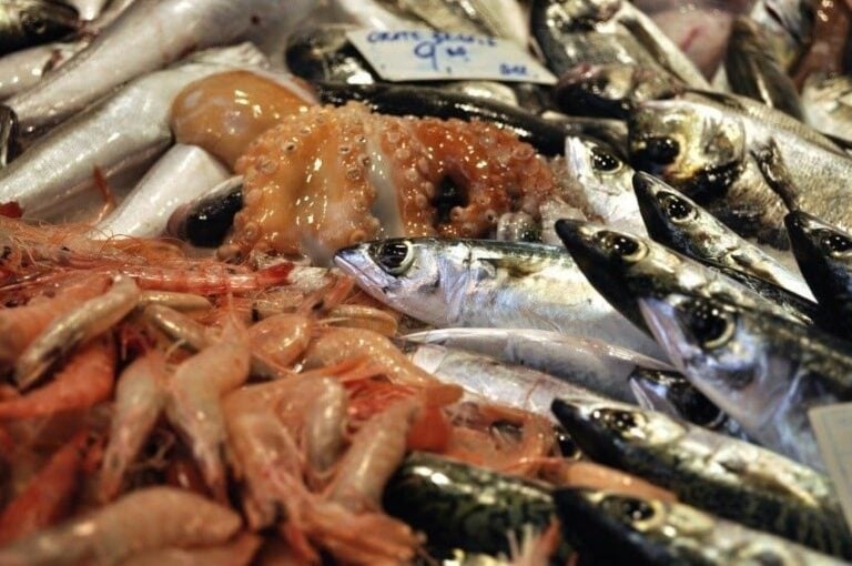 Fish at Catania's Pescheria