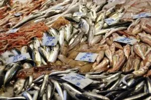 Fish Stall at Catania Market