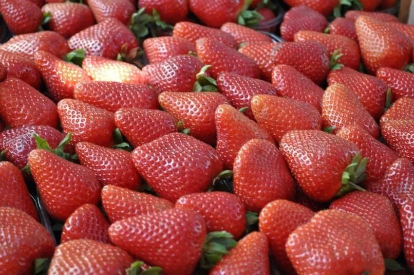 Strawberries at Catania Market