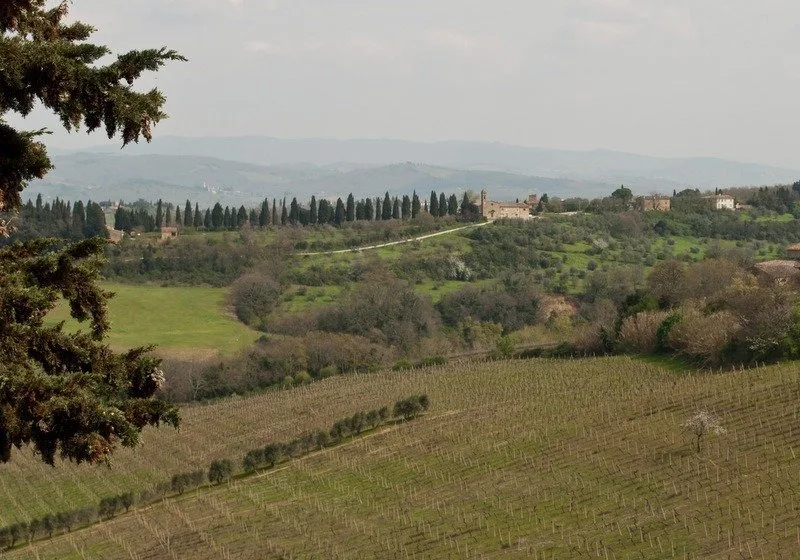 View from Villa Il Paganello