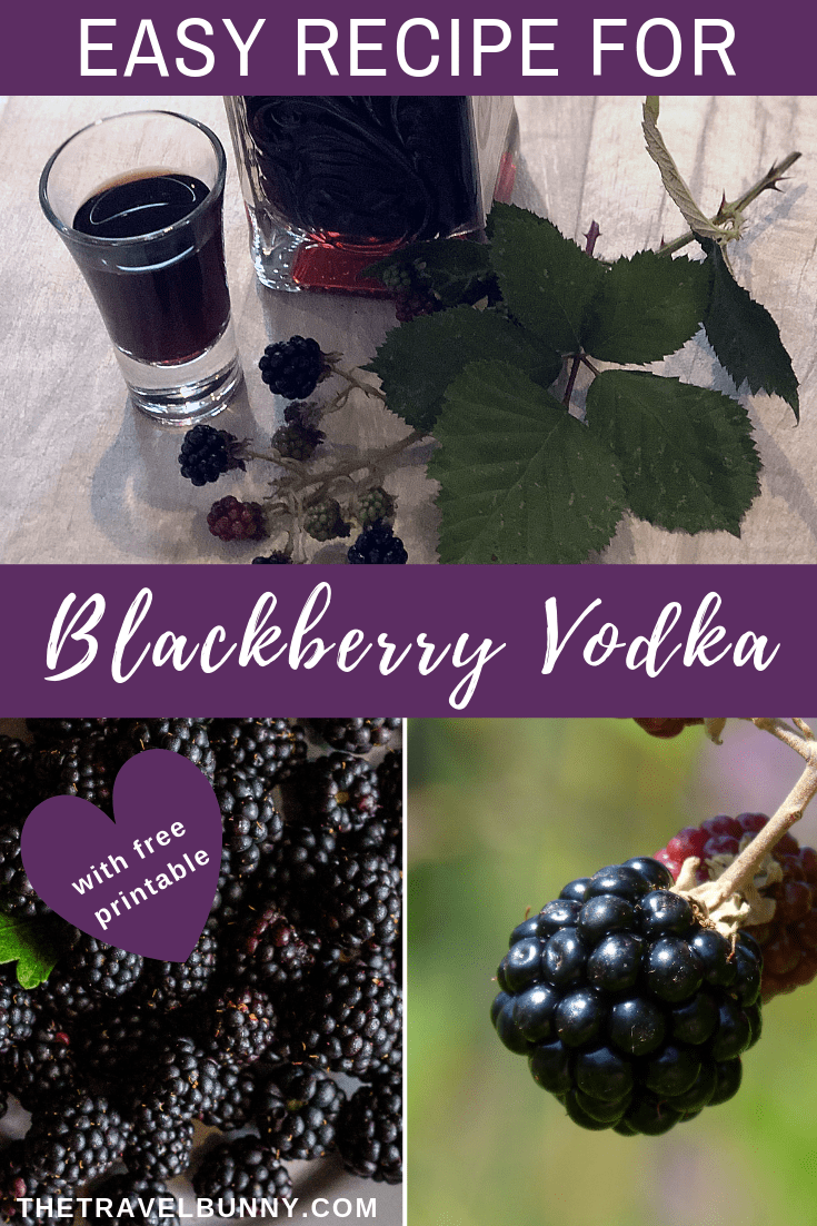 Easy recipe for Blackberry Vodka