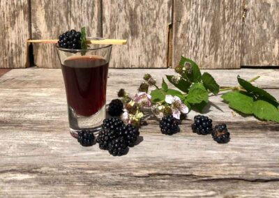 Simple recipe for Blackberry Vodka