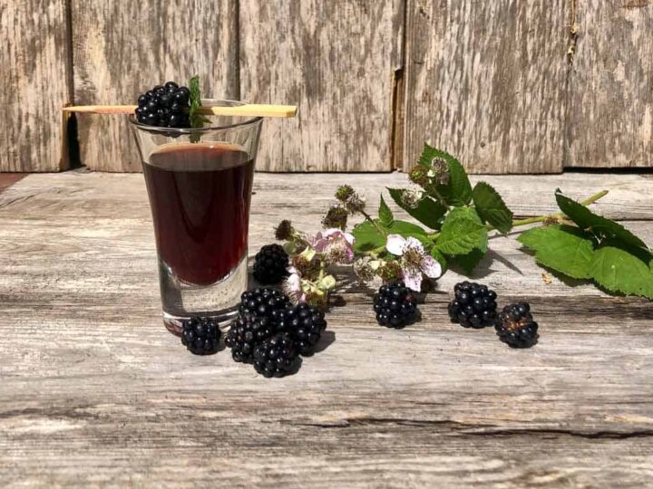 Blackberry vodka recipe