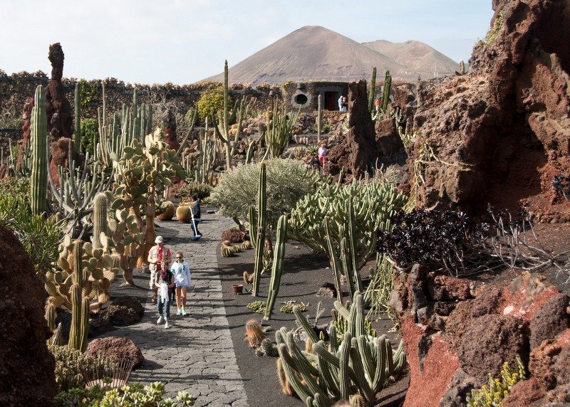 Jardin de Cactus, Lanzarote