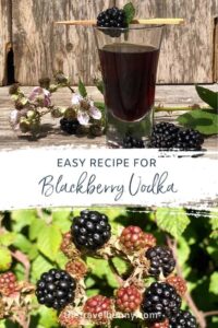 Blackberry Vodka drink