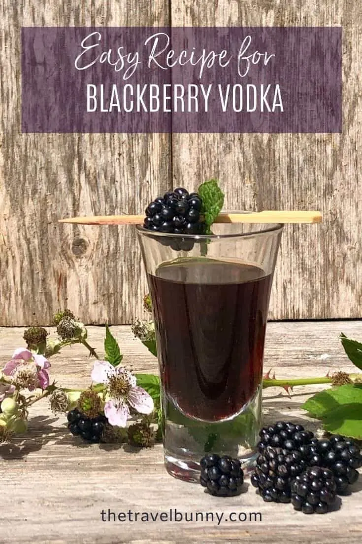 Blackberry Vodka drink