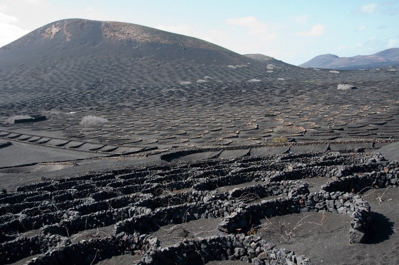 Zocas in La Geria, Lanzarote