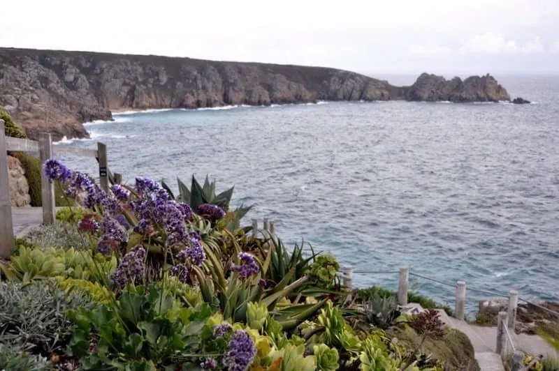 Sub-tropical plants at Minack Theatre, Cornwall