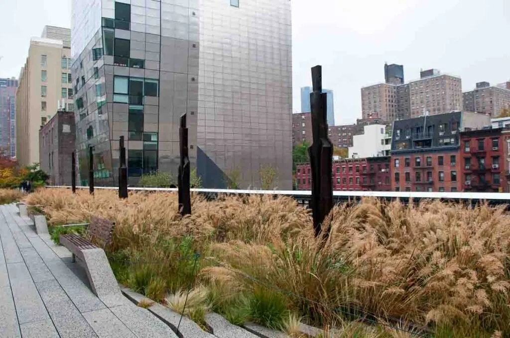 Chelsea Grasslands, The High Line, NYC 