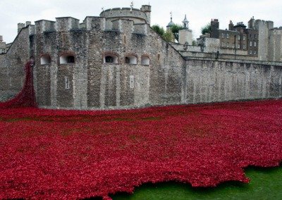 The Tower of London Poppies and a tribute