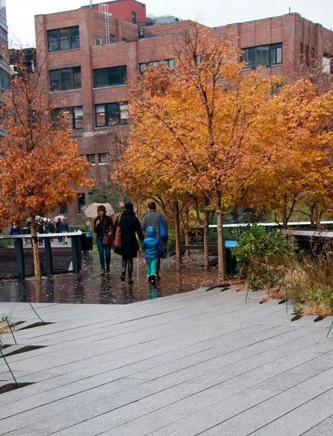 Autumn Colour on the High Line
