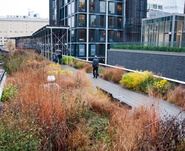 Walking the High Line