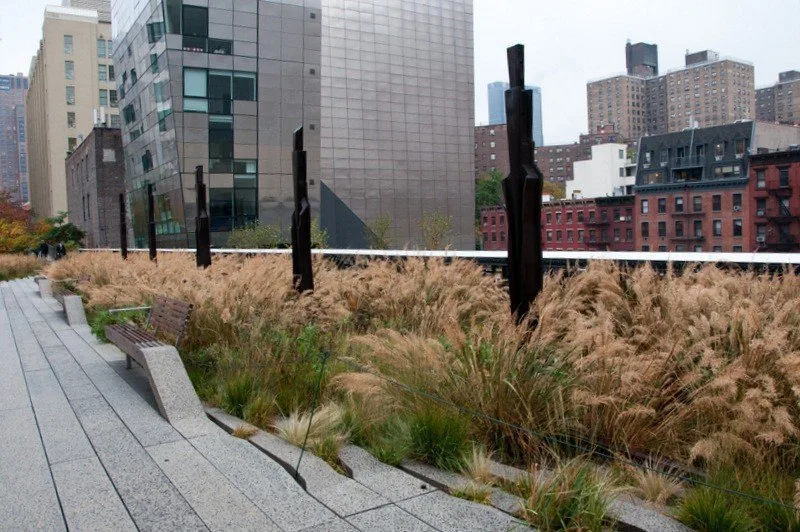 Chelsea Grasslands on the High Line