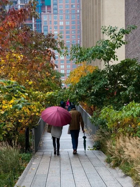 The High Line in the Rain