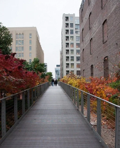 A narrow point on The High Line