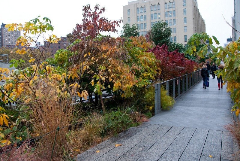Fall Foliage on the High Line