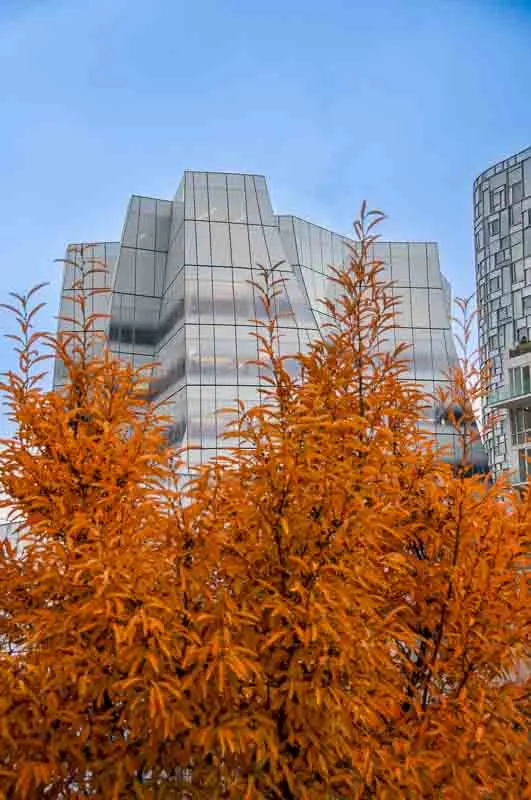 Grey tower block with orange fall foliage tree in the foreground and sky at dusk in the background