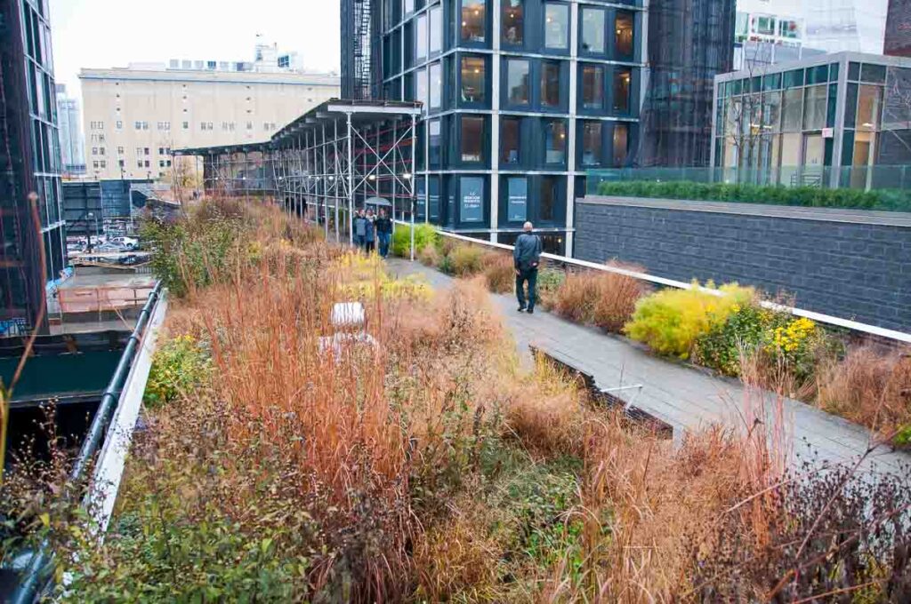 Grasses and soft planting on the High Line, NYC