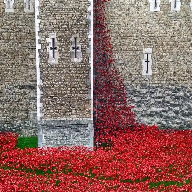 Poppy Installation Tower of London