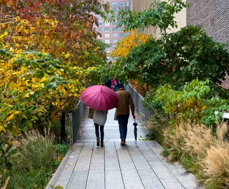 A couple walking along New York's High Line through colourful fall foliage. She's holding a open burgundy coloured umbrella which compliments the orange, yellow and greens of the leaves