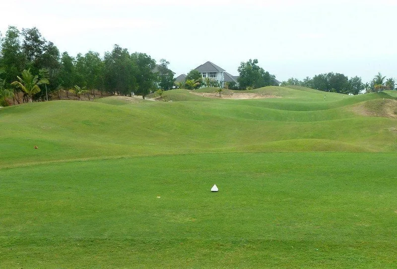 Golf Tee Green Fairway