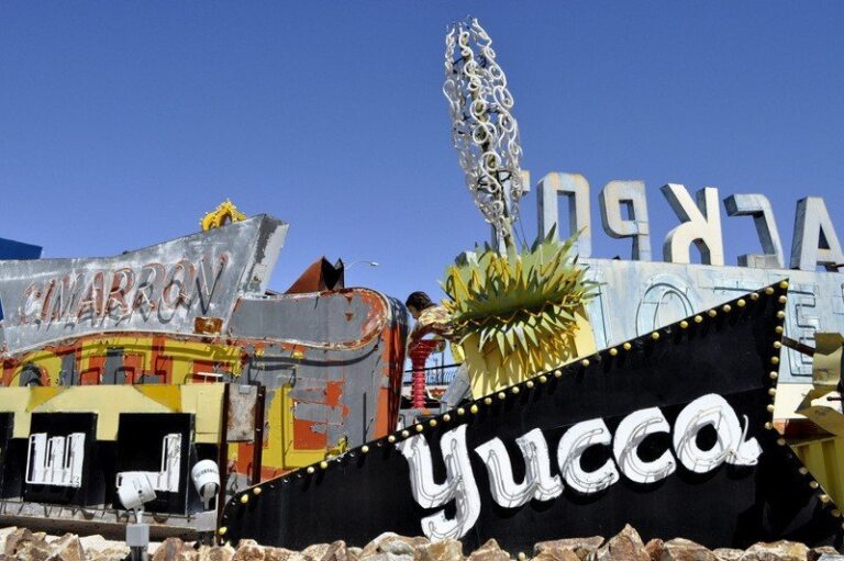 Neon Boneyard