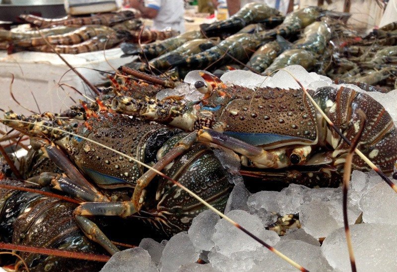 lobster-dubai-fish-market