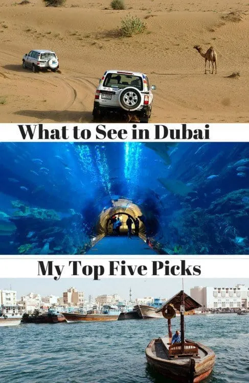 dubai aquarium