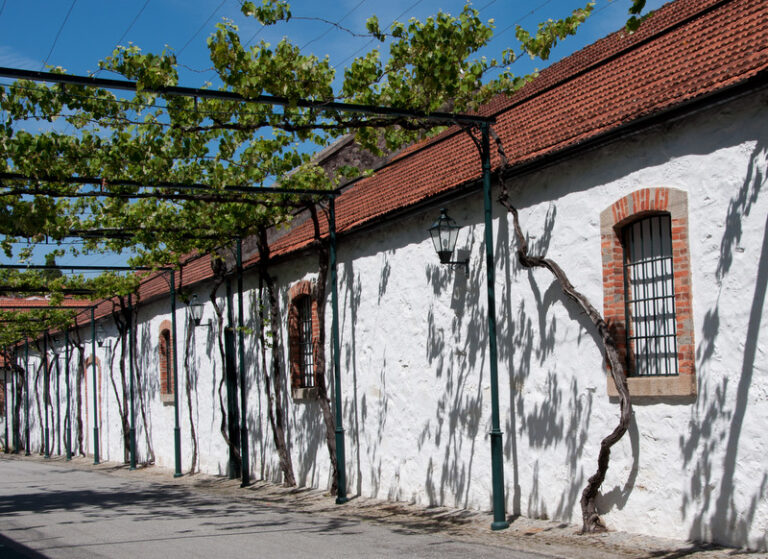 Graham's Port Tour and Cellars, Porto