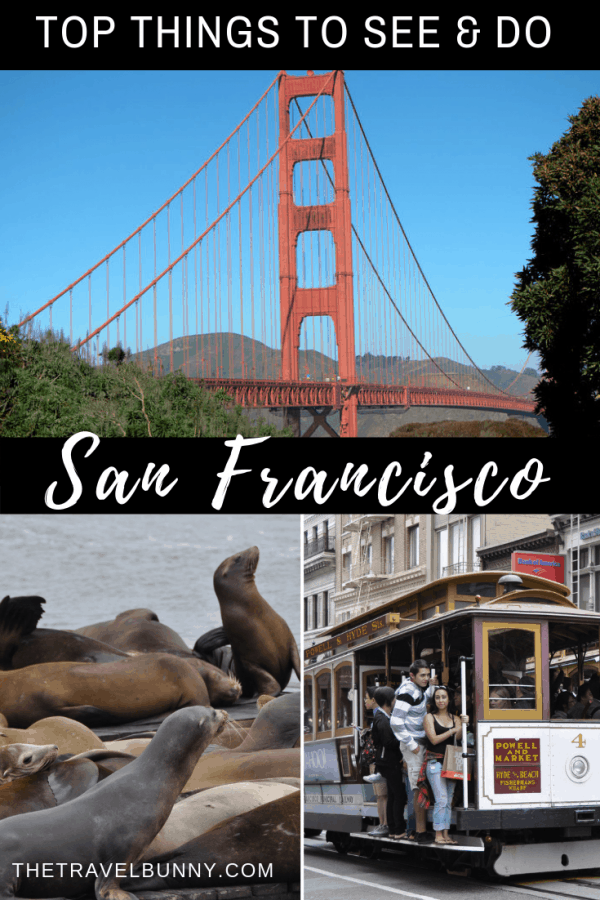 San Francisco photo montages Golden Gate Bridge, Seals and tram