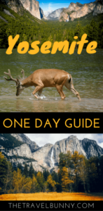 Travel guide on how to get the best out of a day trip to Yosemite National Park, California