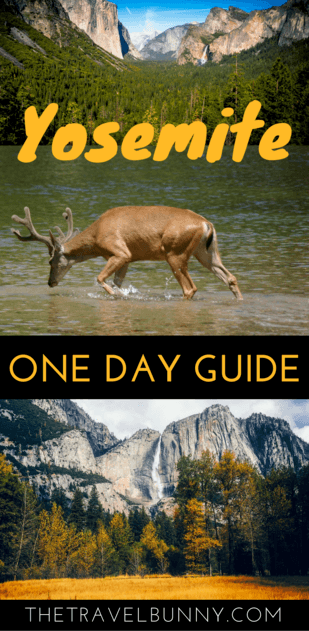 Travel guide on how to get the best out of a day trip to Yosemite National Park, California