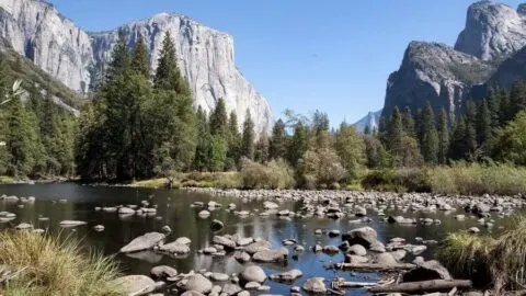 Exploring Yosemite in one Day