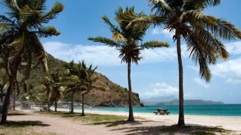 Hello St Kitts – the Authentic Caribbean Island