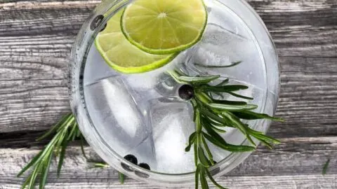 Gin and tonic recipe – how to make the perfect gin and tonic