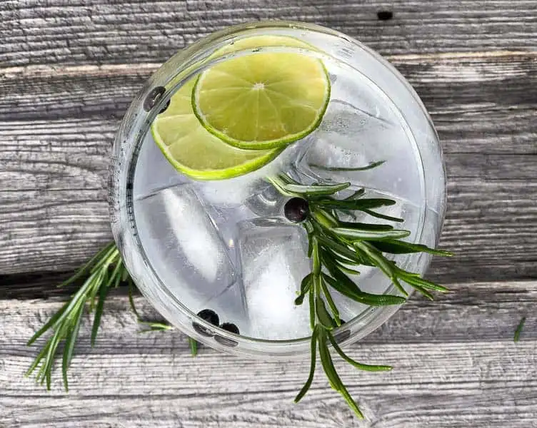 Gin and tonic recipe