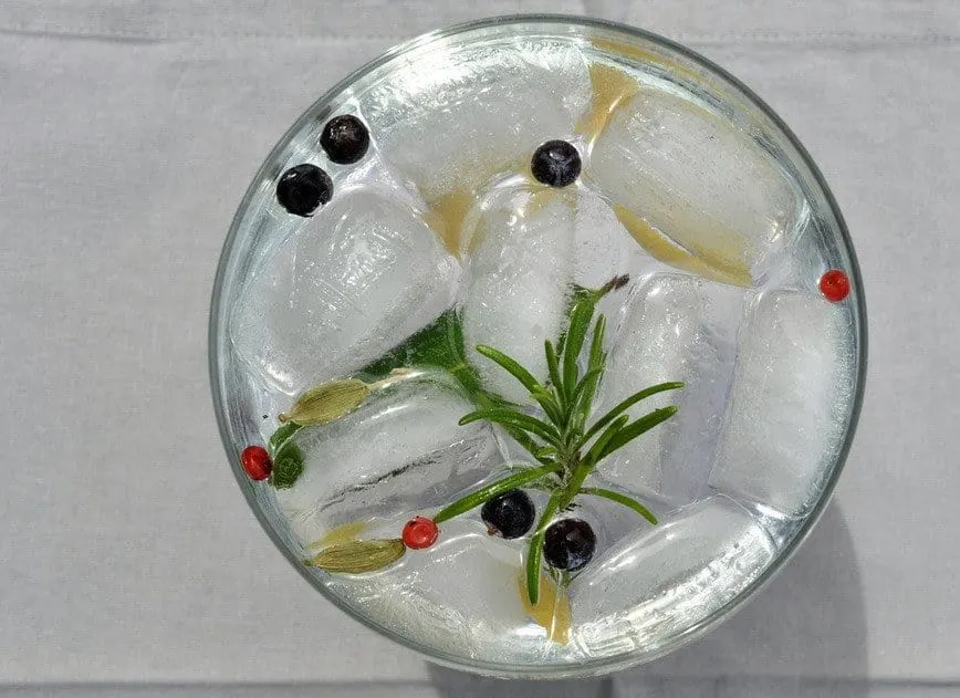gin-and-tonic-botanicals
