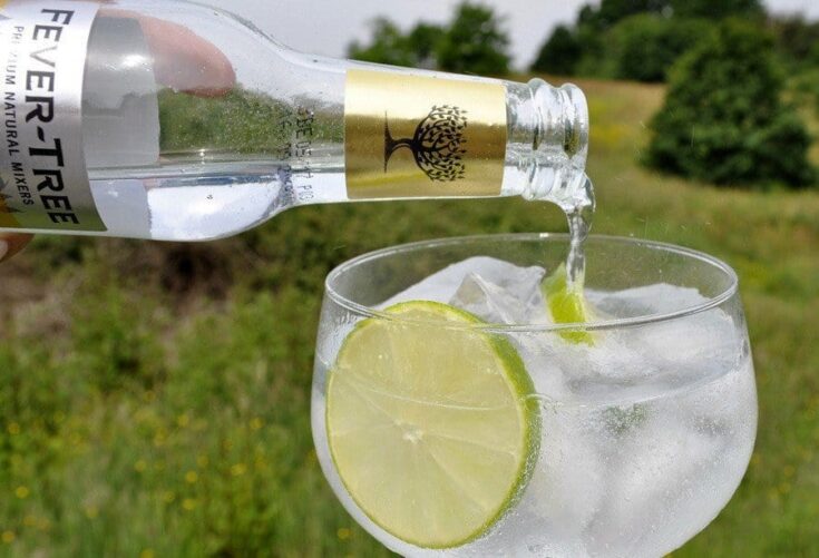 Gin and tonic recipe how to make the perfect G&T
