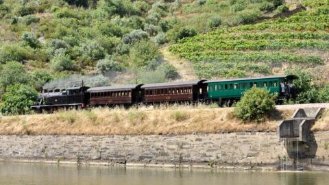 A Douro Valley Steam Train Journey and River Cruise