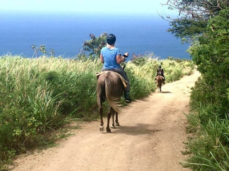 st-kitts-horse-back-riding