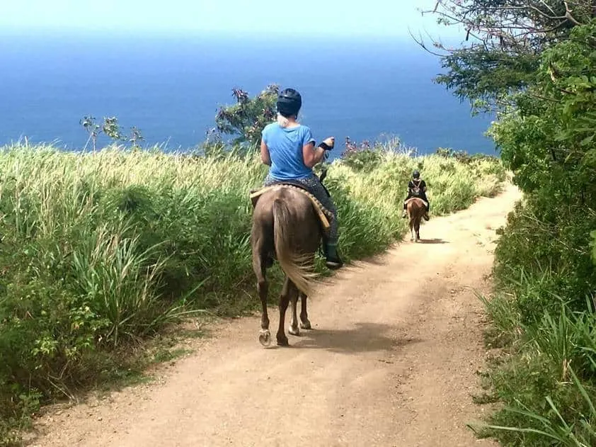 st-kitts-horse-back-riding