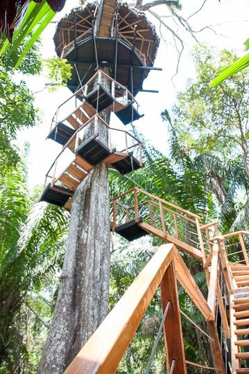 treehouse-staircase-jungle