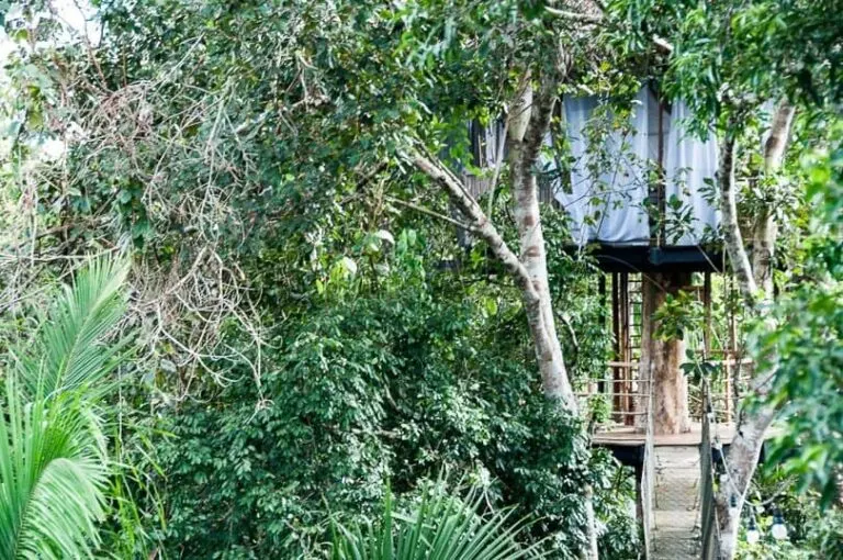 peruvian-jungle-treehouse